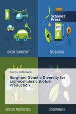 Sorghum Genetic Diversity for Lignocellulosic Biofuel Production