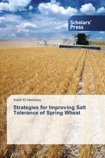 Strategies for Improving Salt Tolerance of Spring Wheat