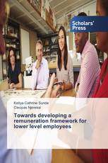 Towards developing a remuneration framework for lower level employees