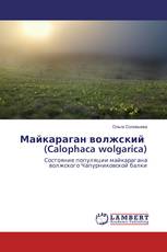 Майкараган волжский (Calophaca wolgarica)