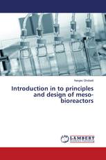 Introduction in to principles and design of meso-bioreactors