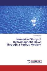 Numerical Study of Hydromagnetic Flows Through a Porous Medium