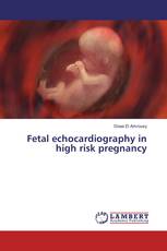 Fetal echocardiography in high risk pregnancy
