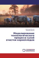 Моделирование технологического процесса сухой очистки корнеплодов