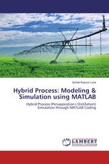 Hybrid Process: Modeling & Simulation using MATLAB