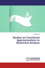 Studies on Functional Approximations in Numerical Analysis