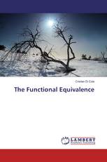 The Functional Equivalence