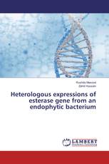 Heterologous expressions of esterase gene from an endophytic bacterium