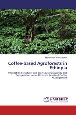Coffee-based Agroforests in Ethiopia