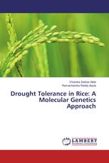 Drought Tolerance in Rice: A Molecular Genetics Approach