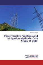 Power Quality Problems and Mitigation Methods: Case Study at DBBF