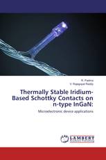 Thermally Stable Iridium-Based Schottky Contacts on n-type InGaN: