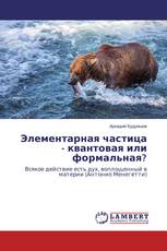Элементарная частица - квантовая или формальная?