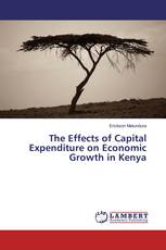 The Effects of Capital Expenditure on Economic Growth in Kenya