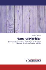 Neuronal Plasticity