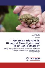 Trematode Infection in Kidney of Rana tigrina and Their Histopathology