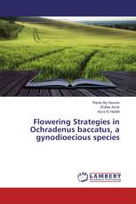 Flowering Strategies in Ochradenus baccatus, a gynodioecious species