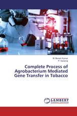 Complete Process of Agrobacterium Mediated Gene Transfer in Tobacco