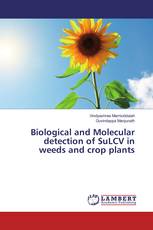 Biological and Molecular detection of SuLCV in weeds and crop plants