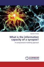 What is the information capacity of a synapse?