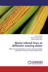 Maize inbred lines at different sowing dates
