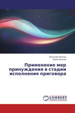 Применение мер принуждения в стадии исполнения приговора