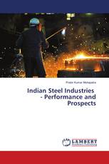 Indian Steel Industries - Performance and Prospects