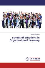Echoes of Emotions in Organizational Learning