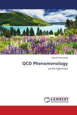 QCD Phenomenology