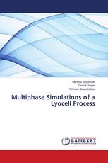 Multiphase Simulations of a Lyocell Process