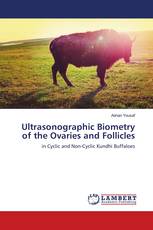 Ultrasonographic Biometry of the Ovaries and Follicles