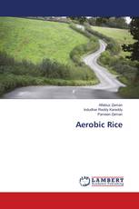 Aerobic Rice
