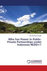 Who has Power in Public-Private Partnerships under Indonesia REDD+?