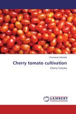 Cherry tomato cultivation