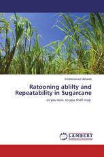 Ratooning ablilty and Repeatability in Sugarcane