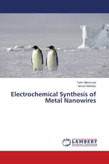 Electrochemical Synthesis of Metal Nanowires