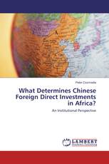 What Determines Chinese Foreign Direct Investments in Africa?