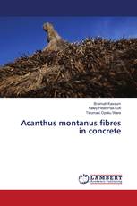Acanthus montanus fibres in concrete