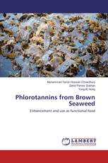 Phlorotannins from Brown Seaweed