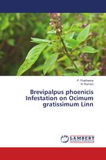 Brevipalpus phoenicis Infestation on Ocimum gratissimum Linn