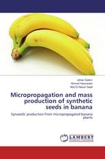 Micropropagation and mass production of synthetic seeds in banana