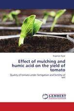 Effect of mulching and humic acid on the yield of tomato