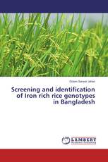 Screening and identification of Iron rich rice genotypes in Bangladesh