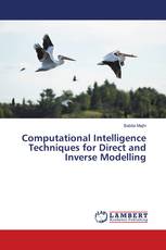 Computational Intelligence Techniques for Direct and Inverse Modelling