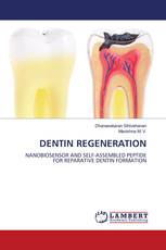 DENTIN REGENERATION