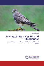 Jaw apparatus, Kestrel and Budgerigar