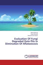 Evaluation Of Fungi Degraded Date Pits In Diminution Of Aflatoxicosis