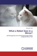 What a Robot Sees in a Mirror?
