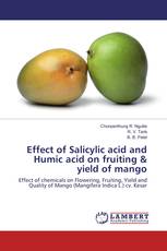 Effect of Salicylic acid and Humic acid on fruiting  yield of mango