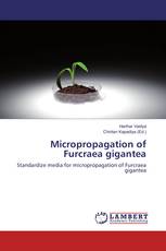 Micropropagation of Furcraea gigantea